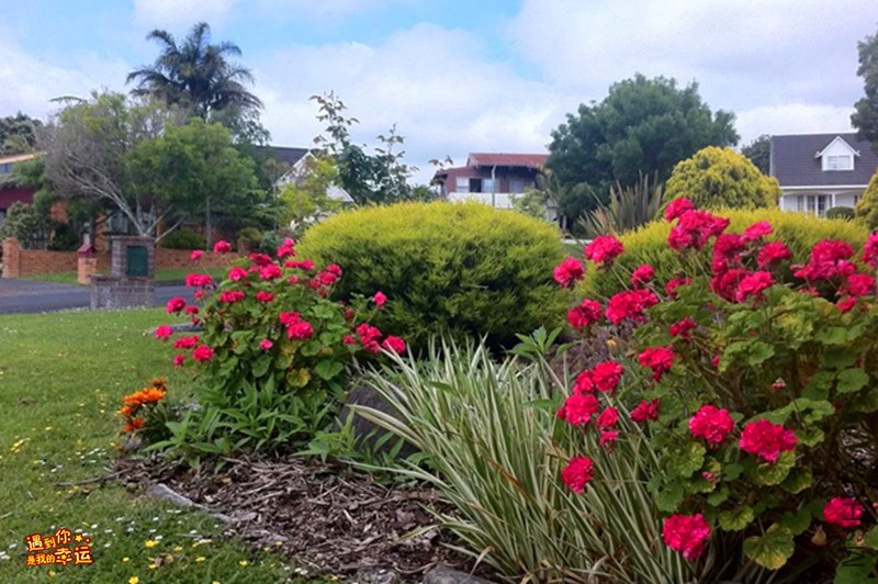 psb (1)_����.jpg