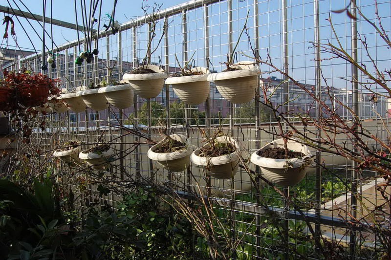 DSC_06060090.JPG