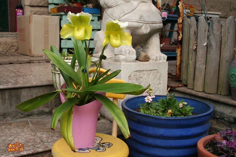 ��Ƭ 018_����.jpg