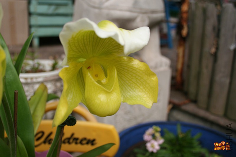 ��Ƭ 022_����.jpg