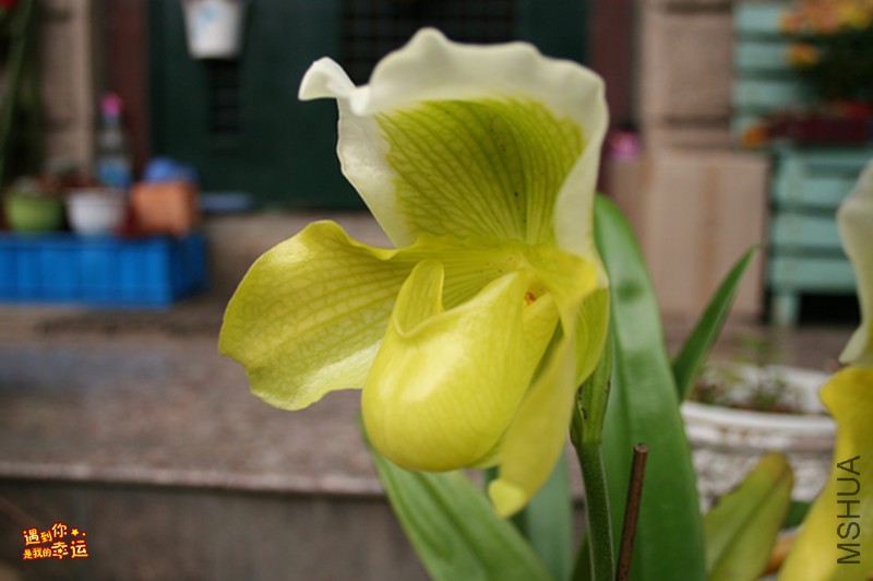 ��Ƭ 024_����.jpg