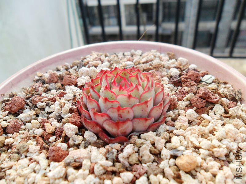 SAM_3143_����.jpg