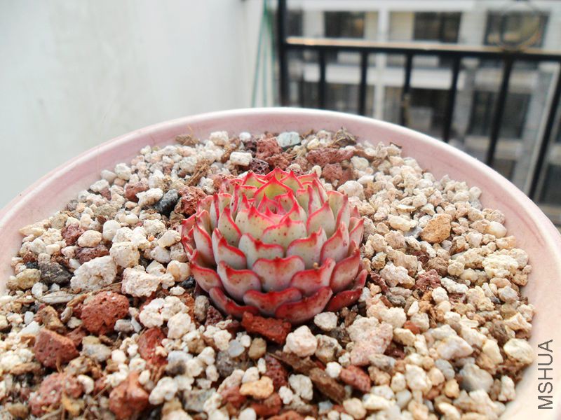 SAM_3142_����.jpg