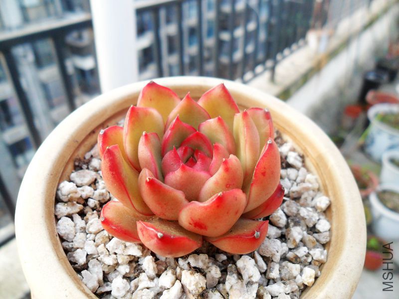 SAM_3135_����.jpg