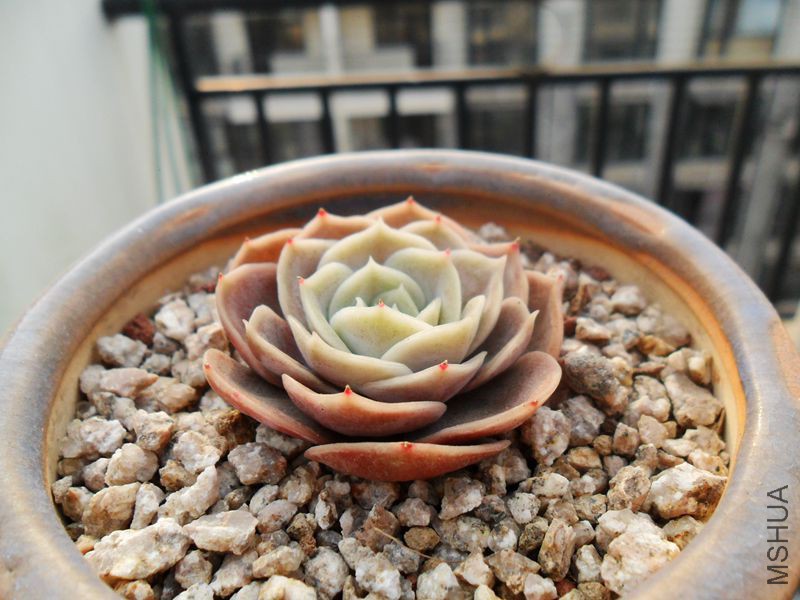 SAM_3147_����.jpg