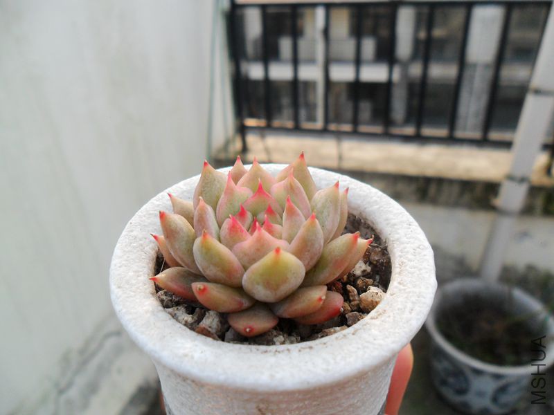 SAM_3153_����.jpg