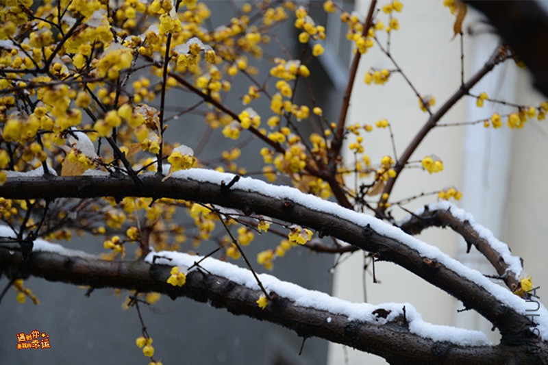 ��Ƭ 012_����.jpg