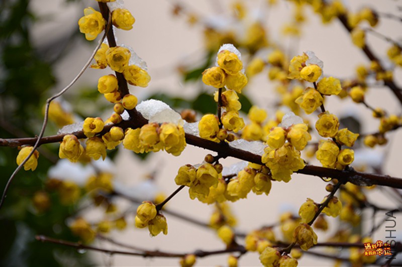 ��Ƭ 013_����.jpg