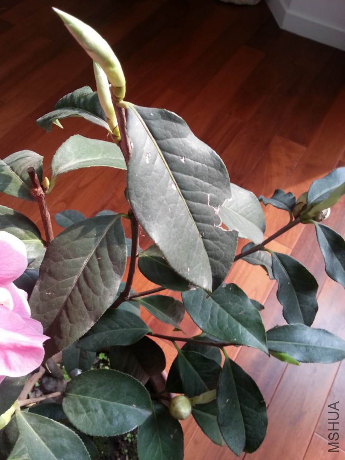 webwxgetmsgimg (3).jpg