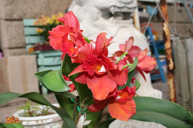 ��Ƭ 006_����.jpg