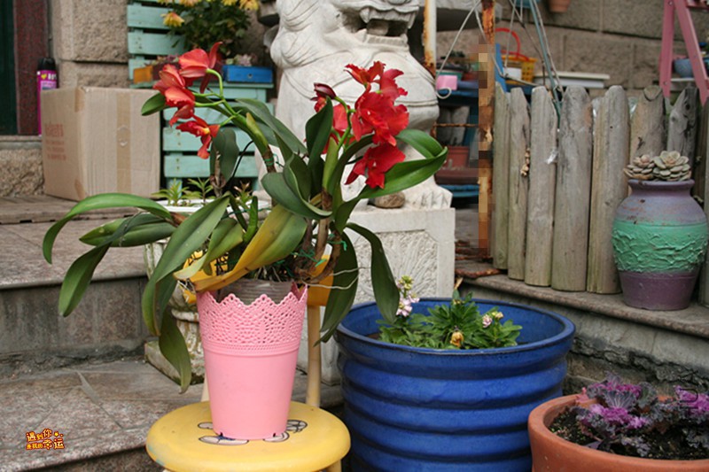 ��Ƭ 002_����.jpg