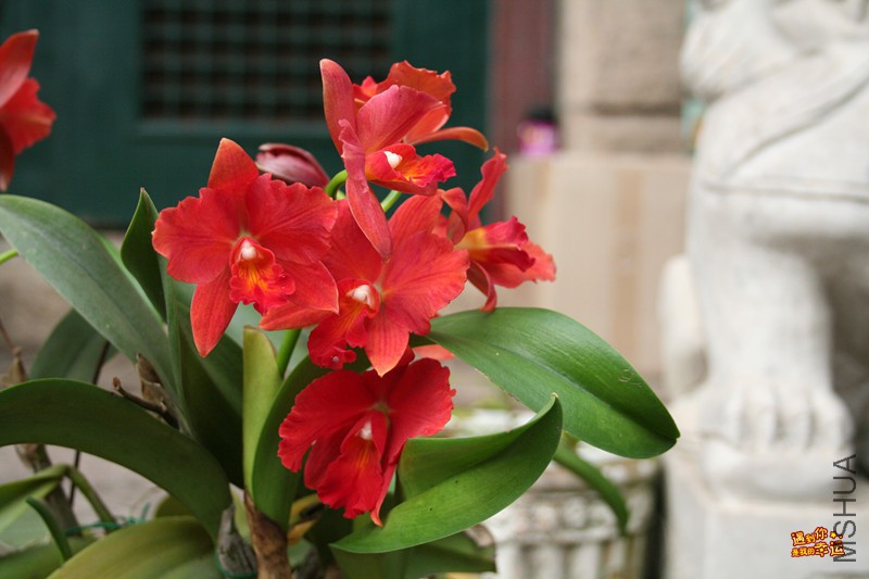 ��Ƭ 004_����.jpg