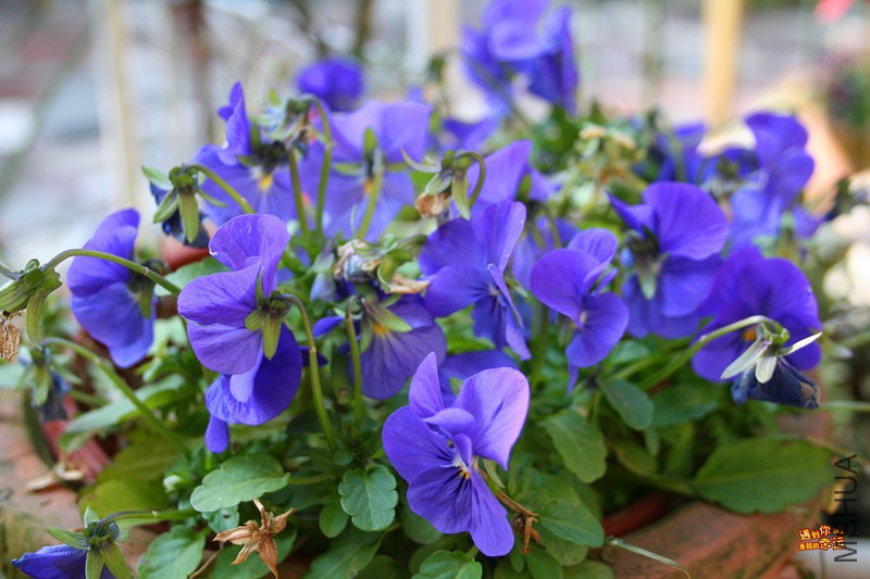 ��Ƭ 008_����.jpg