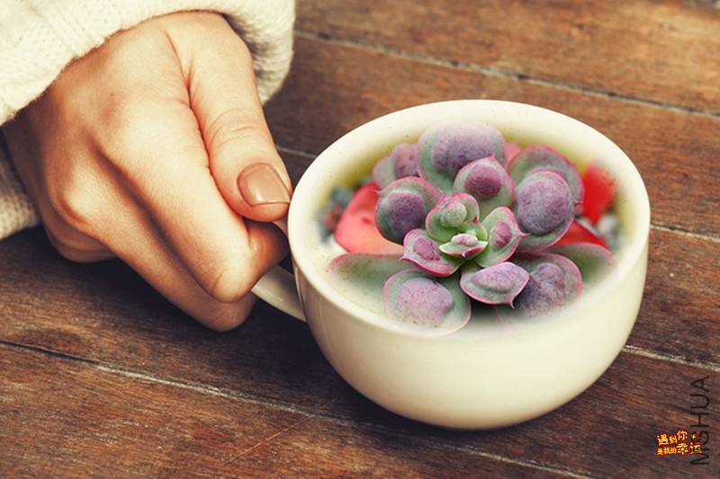 ��Ƭ 018_����.jpg