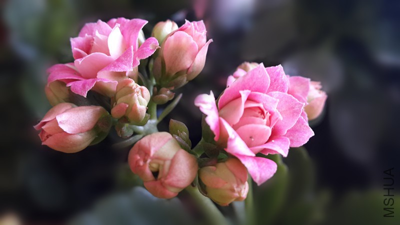 20160205_091427_����.jpg