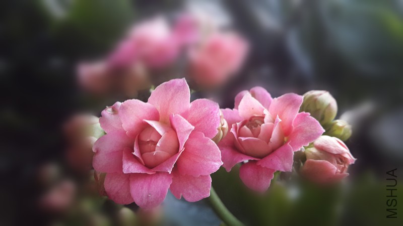 20160207_074300_����.jpg