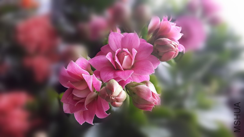20160213_084650_����.jpg