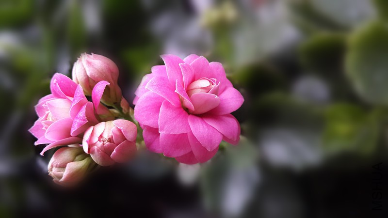 20160213_084754_����.jpg