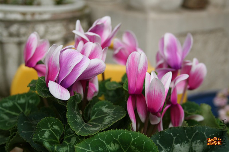 ��Ƭ 031_����.jpg