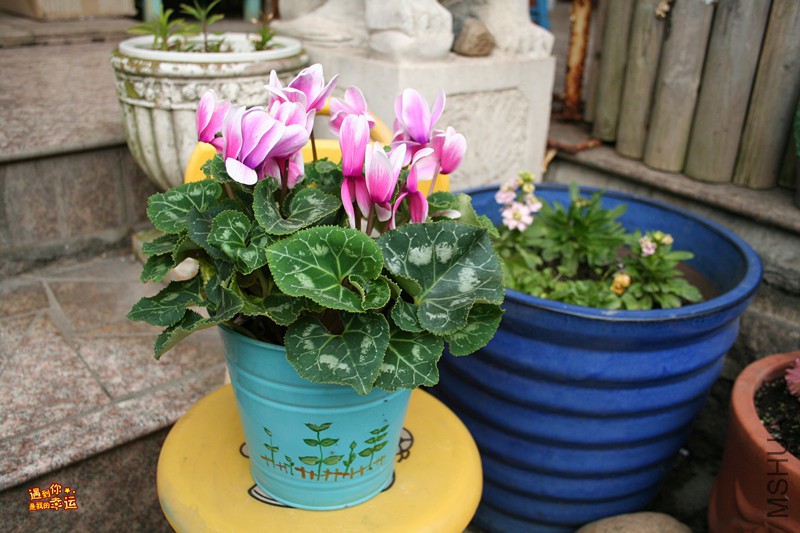 ��Ƭ 028_����.jpg