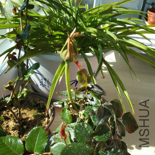 UC_Photo_039.jpg