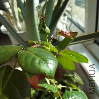 UC_Photo_040.jpg