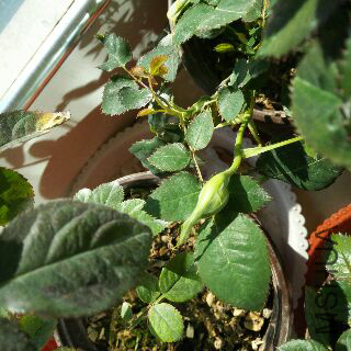 UC_Photo_042.jpg