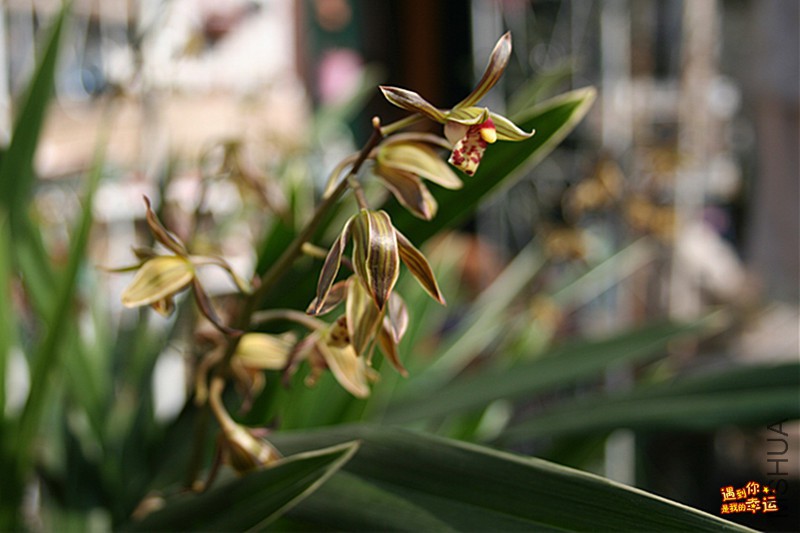 ��Ƭ 023_����.jpg