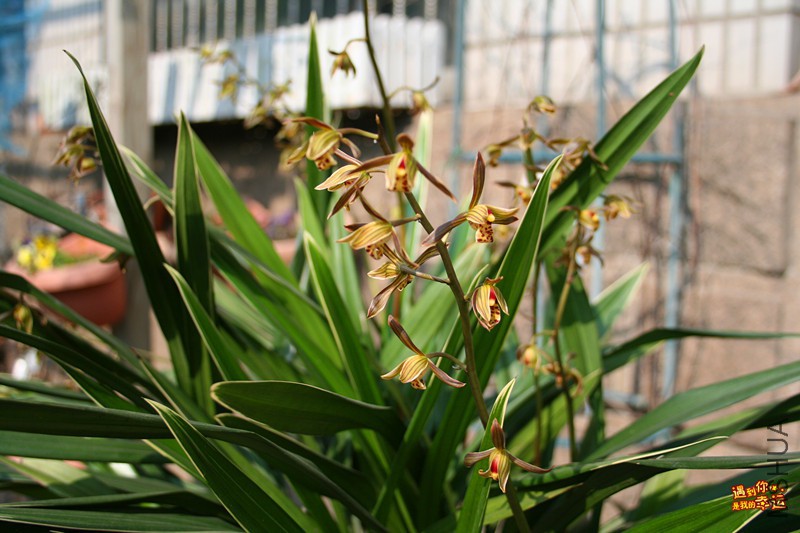 ��Ƭ 022_����.jpg