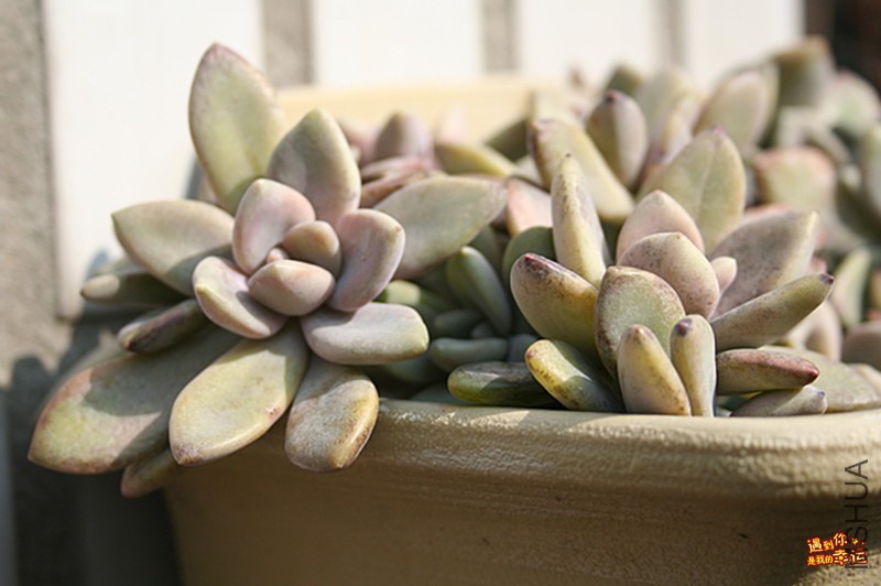 ��Ƭ 013_����.jpg