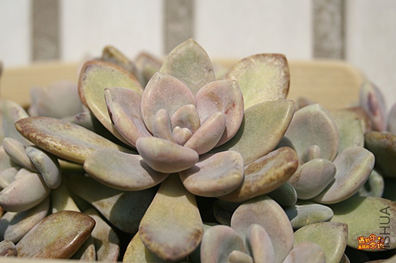 ��Ƭ 016_����.jpg