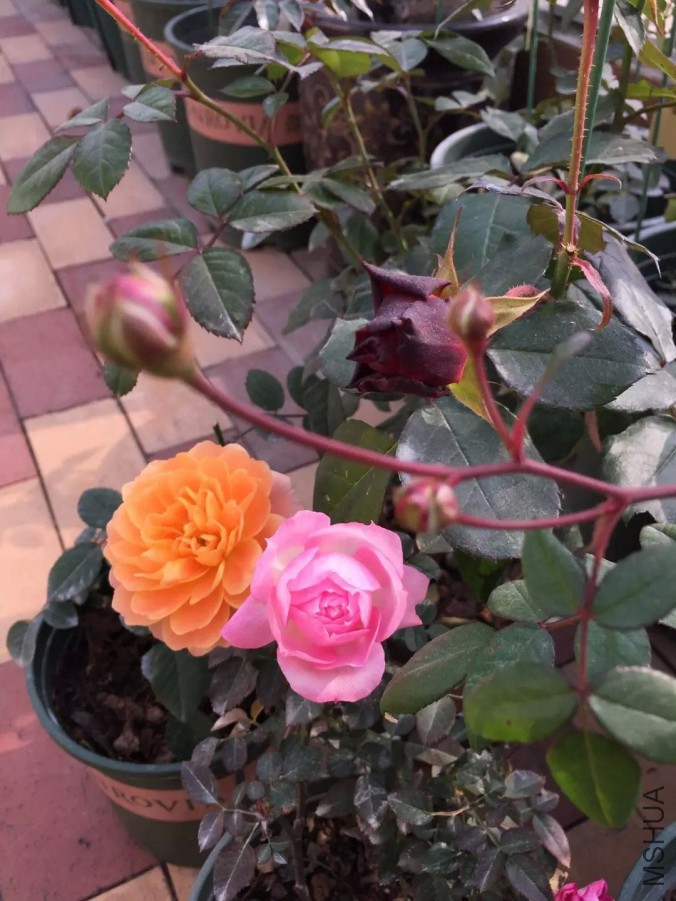 default (2)_��ͼ��.jpg