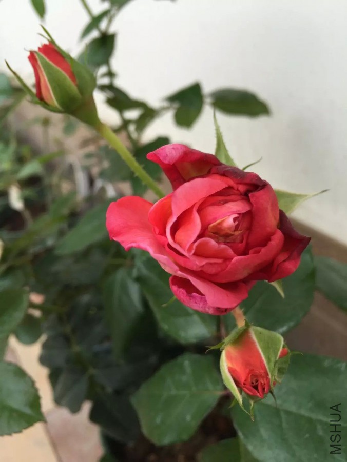 default (14)_��ͼ��.jpg