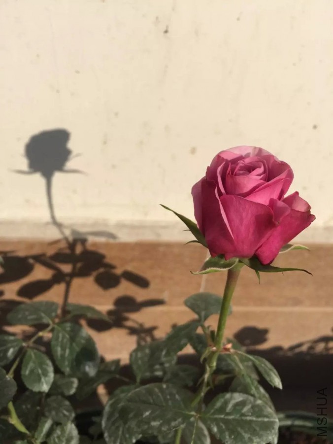 default (8)_��ͼ��.jpg