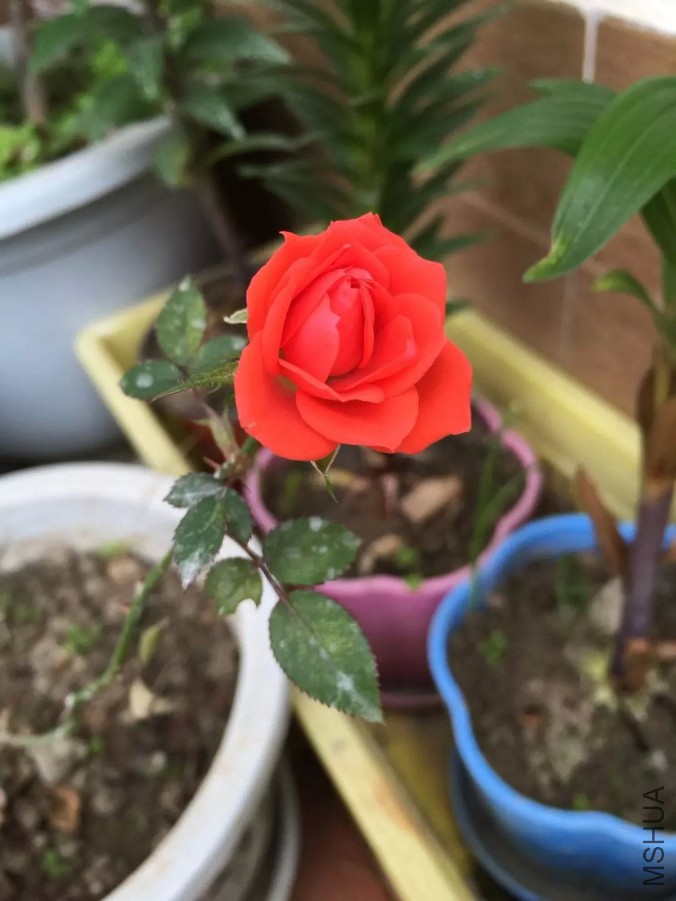 default (23)_��ͼ��.jpg