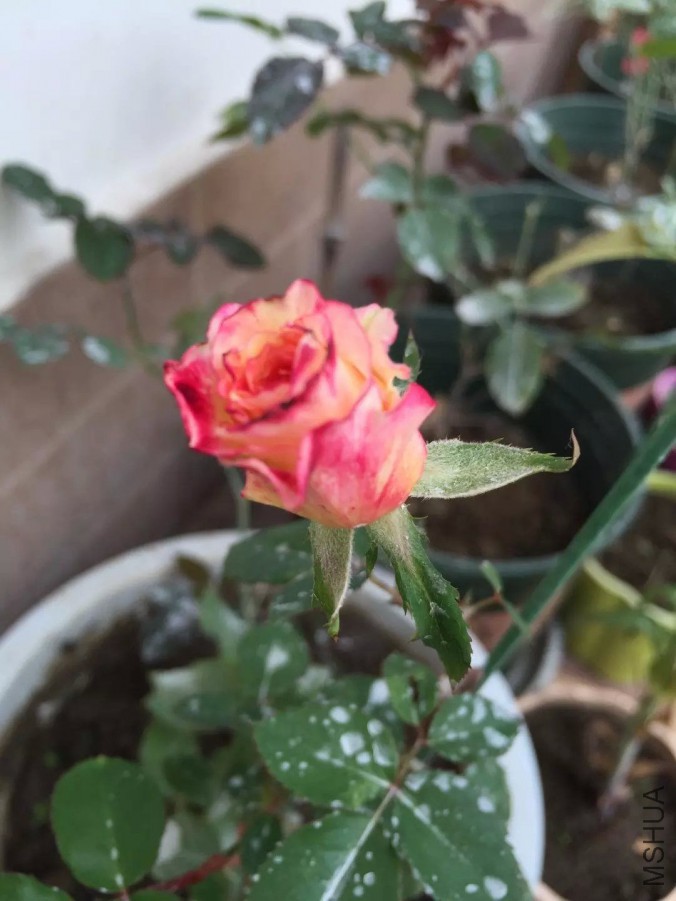 default (24)_��ͼ��.jpg