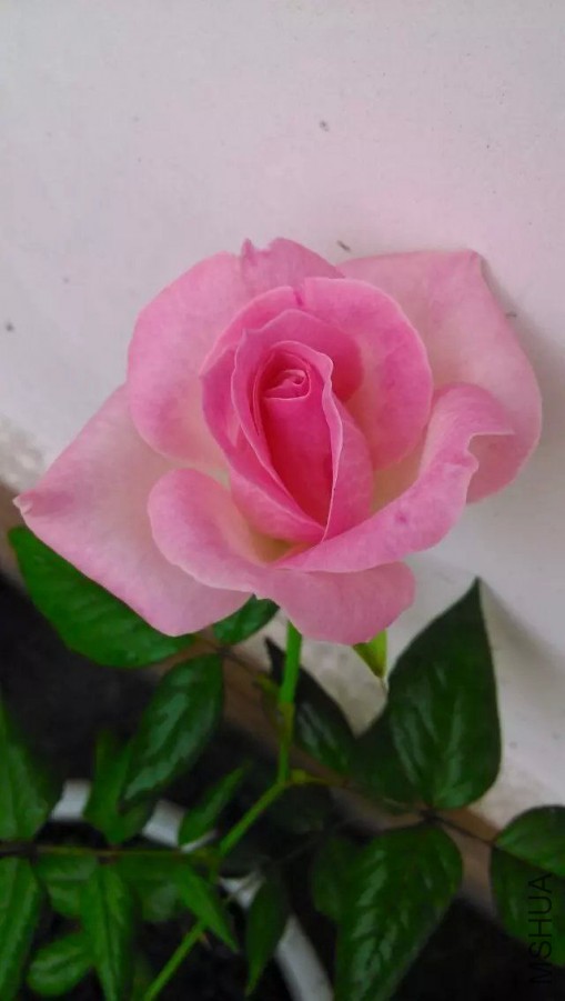 default (32)_��ͼ��.jpg