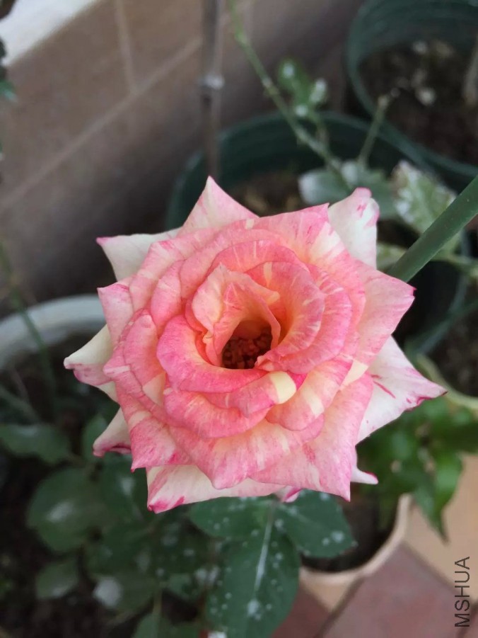 default (20)_��ͼ��.jpg