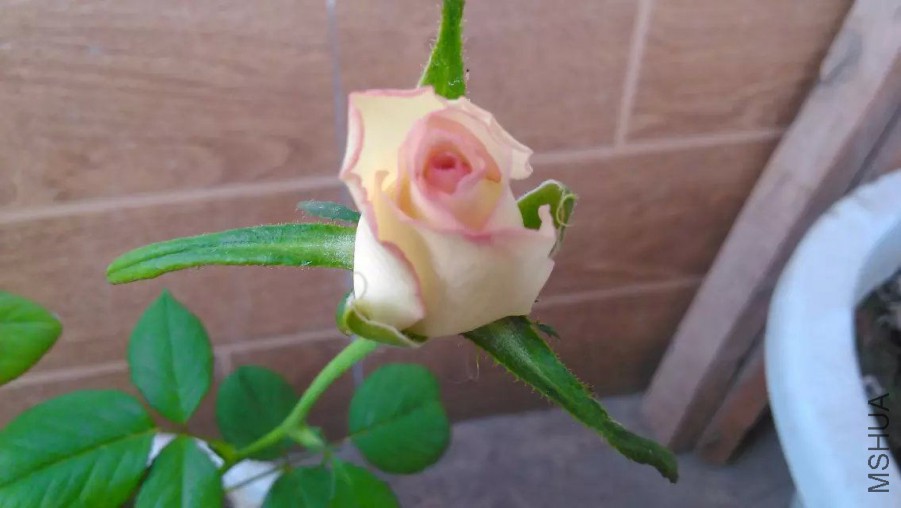 default (38)_��ͼ��.jpg