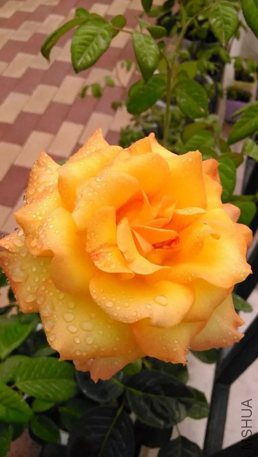 default (39)_��ͼ��.jpg