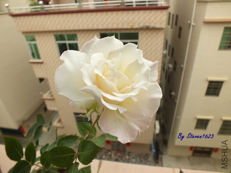 DSCF9450.JPG