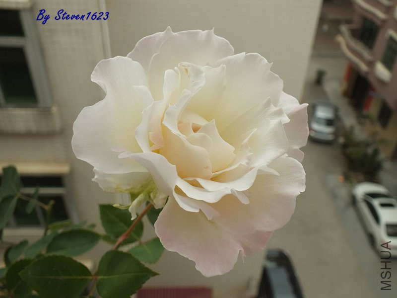 DSCF9457.JPG