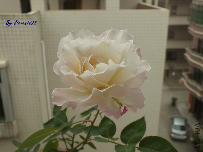 DSCF9458.JPG