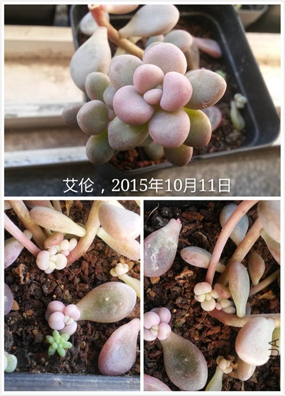 ����2015_10_22.jpg