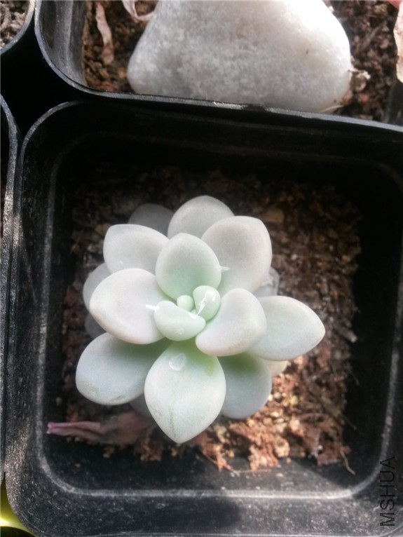 ���� 20160131.jpg