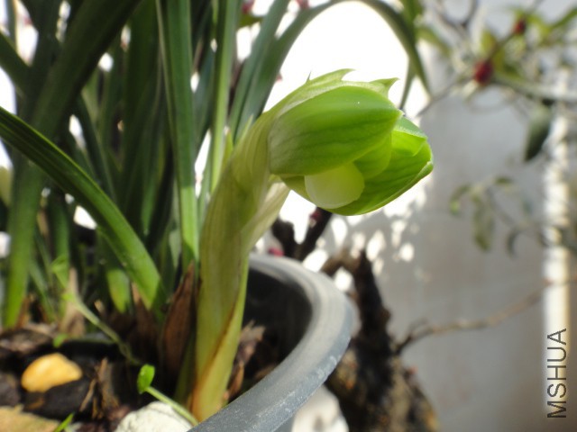 DSC01915.JPG