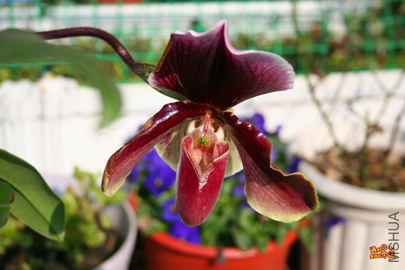 ��Ƭ 042_����.jpg