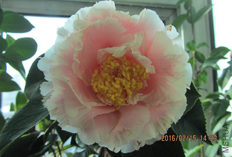 IMG_0472.JPG