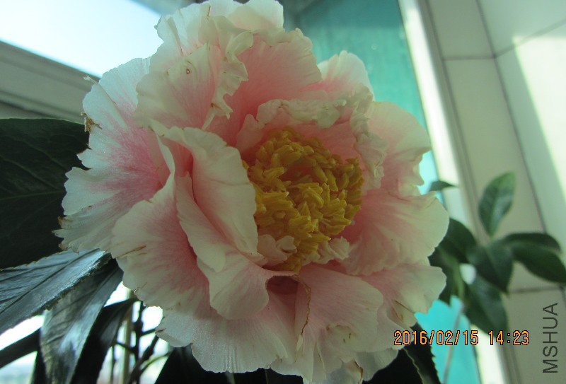 IMG_0474.JPG