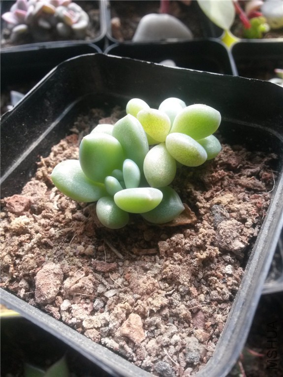 �������� 20160131.jpg